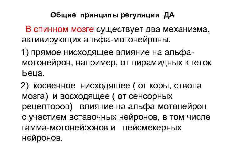 Общие принципы регуляции ДА В спинном мозге существует два механизма, активирующих альфа мотонейроны. 1)