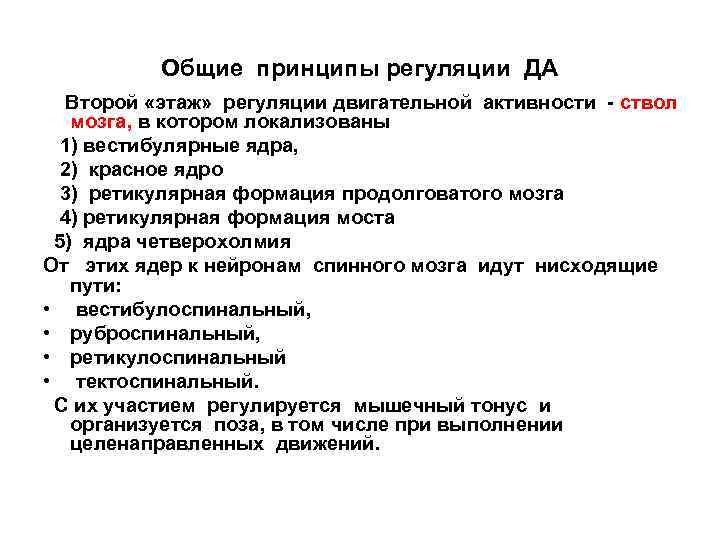 Общие принципы регуляции ДА Второй «этаж» регуляции двигательной активности - ствол мозга, в котором