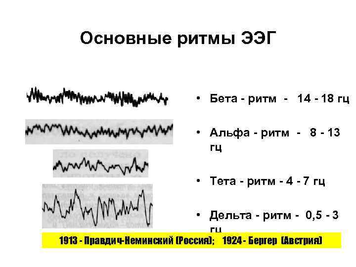 Основные ритмы ЭЭГ • Бета - ритм - 14 - 18 гц • Альфа