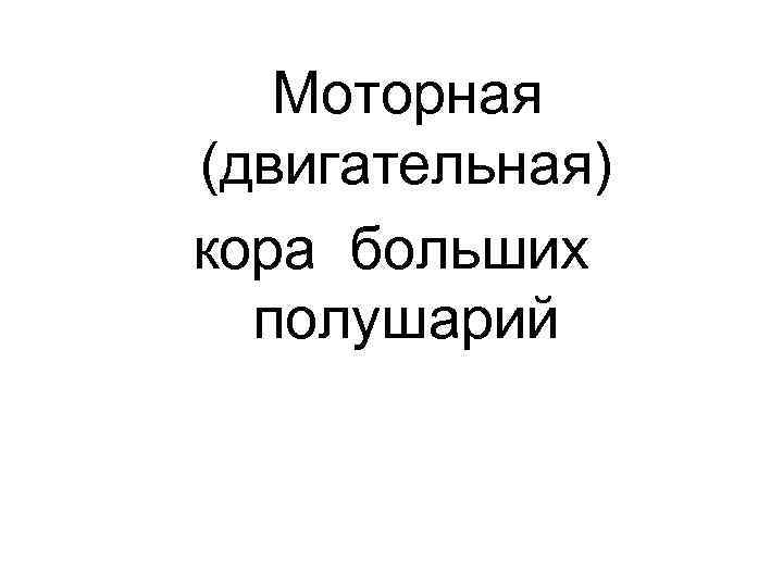 Моторная (двигательная) кора больших полушарий 