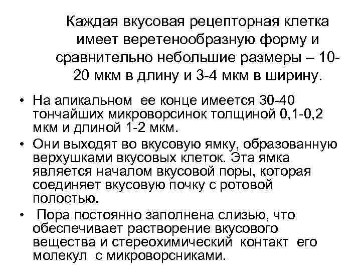 Каждая вкусовая рецепторная клетка имеет веретенообразную форму и сравнительно небольшие размеры – 1020 мкм