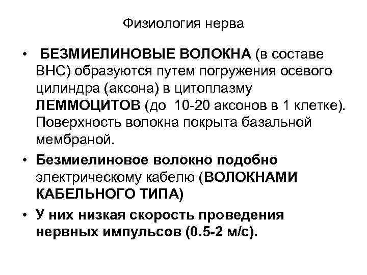 Физиология нерва • БЕЗМИЕЛИНОВЫЕ ВОЛОКНА (в составе ВНС) образуются путем погружения осевого цилиндра (аксона)