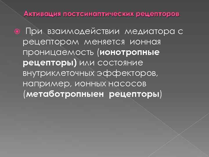 Активация постсинаптических рецепторов При взаимодействии медиатора с рецептором меняется ионная проницаемость (ионотропные рецепторы) или