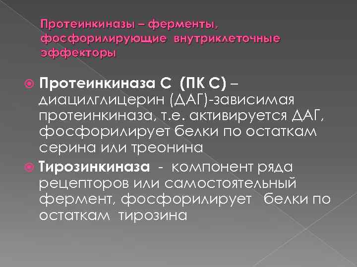 Протеинкиназы – ферменты, фосфорилирующие внутриклеточные эффекторы Протеинкиназа С (ПК С) – диацилглицерин (ДАГ) зависимая