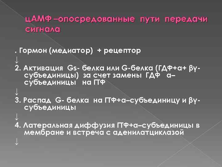 ц. АМФ –опосредованные пути передачи сигнала. Гормон (медиатор) + рецептор ↓ 2. Активация Gs