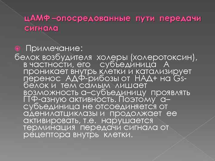 ц. АМФ –опосредованные пути передачи сигнала Примечание: белок возбудителя холеры (холеротоксин), в частности, его