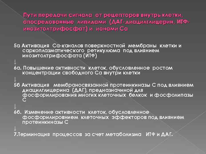 Пути передачи сигнала от рецепторов внутрь клетки, опосредованные липидами (ДАГ диацилглицерин, ИТФ инозитолтрифосфат) и