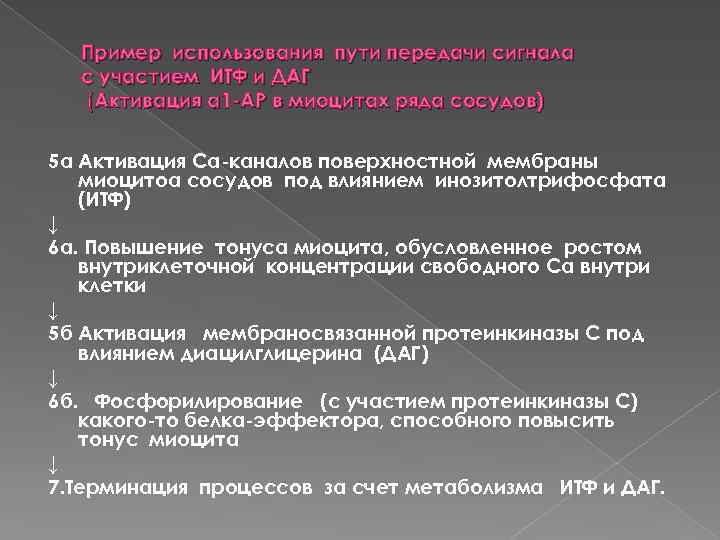 Пример использования пути передачи сигнала с участием ИТФ и ДАГ (Активация α 1 АР