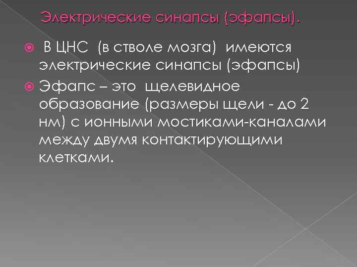 Электрические синапсы (эфапсы). В ЦНС (в стволе мозга) имеются электрические синапсы (эфапсы) Эфапс –