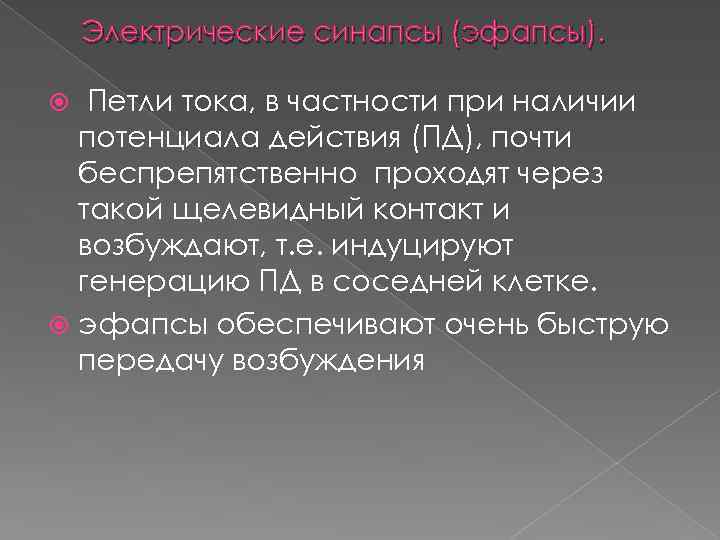 Электрические синапсы (эфапсы). Петли тока, в частности при наличии потенциала действия (ПД), почти беспрепятственно