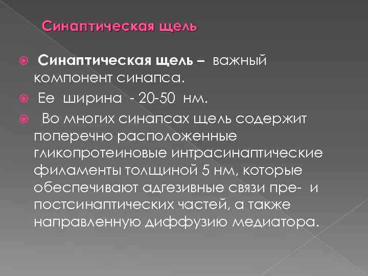 Синаптическая щель – важный компонент синапса. Ее ширина 20 50 нм. Во многих синапсах