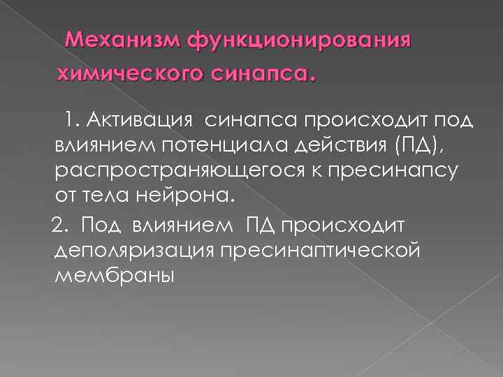 Механизм функционирования химического синапса. 1. Активация синапса происходит под влиянием потенциала действия (ПД), распространяющегося