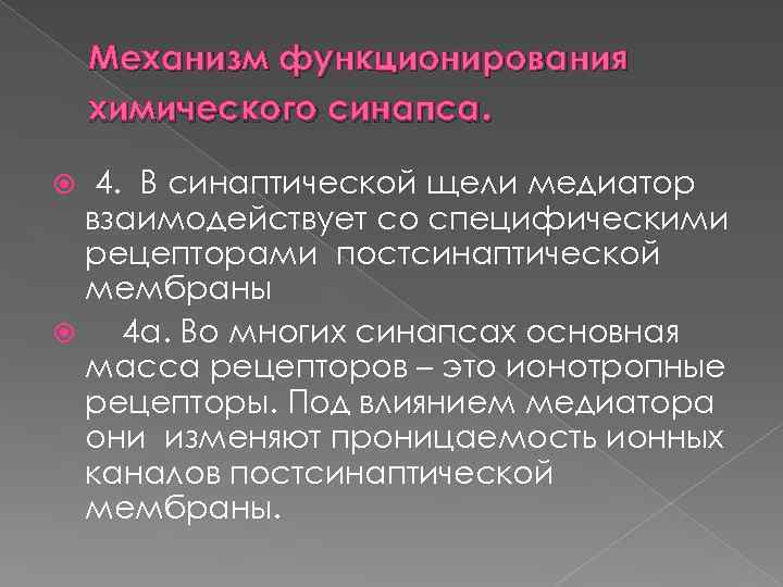 Механизм функционирования химического синапса. 4. В синаптической щели медиатор взаимодействует со специфическими рецепторами постсинаптической