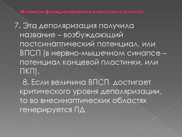 Механизм функционирования химического синапса. 7. Эта деполяризация получила название – возбуждающий постсинаптический потенциал, или