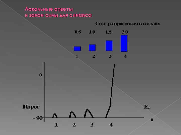 Локальные ответы и закон силы для синапса 