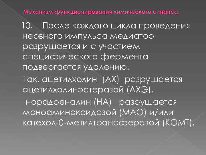 Механизм функционирования химического синапса. 13. После каждого цикла проведения нервного импульса медиатор разрушается и