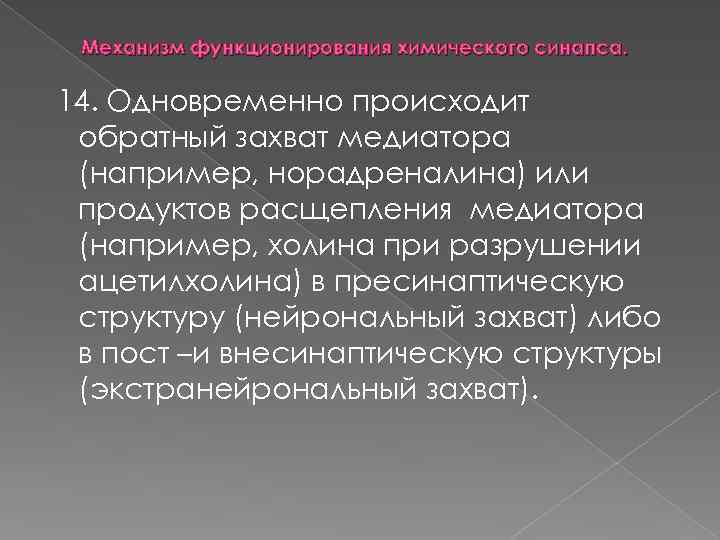 Механизм функционирования химического синапса. 14. Одновременно происходит обратный захват медиатора (например, норадреналина) или продуктов