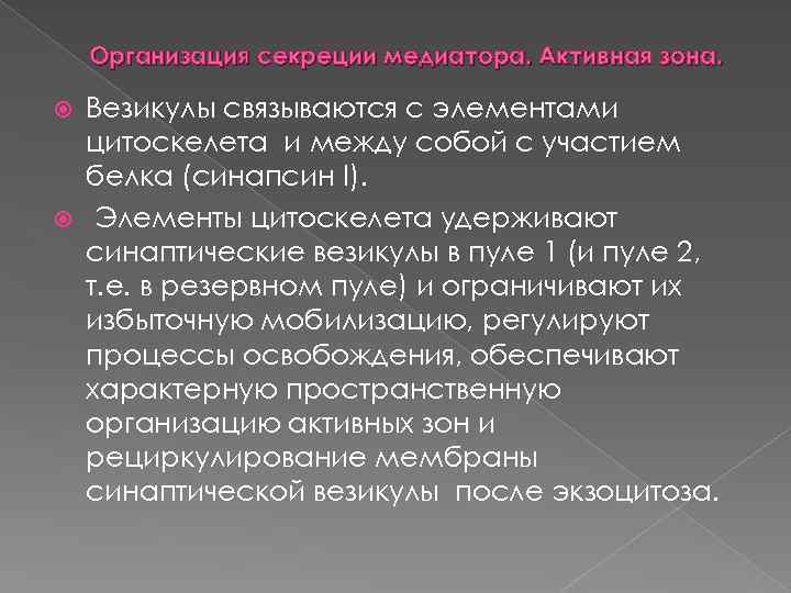 Организация секреции медиатора. Активная зона. Везикулы связываются с элементами цитоскелета и между собой с