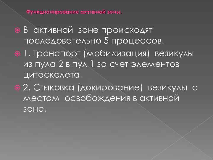 Функционирование активной зоны. В активной зоне происходят последовательно 5 процессов. 1. Транспорт (мобилизация) везикулы