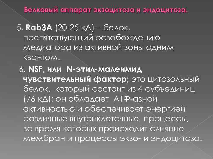 Белковый аппарат экзоцитоза и эндоцитоза. 5. Rab 3 A (20 25 к. Д) –