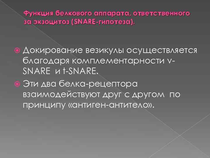 Функция белкового аппарата, ответственного за экзоцитоз (SNARE гипотеза). Докирование везикулы осуществляется благодаря комплементарности v