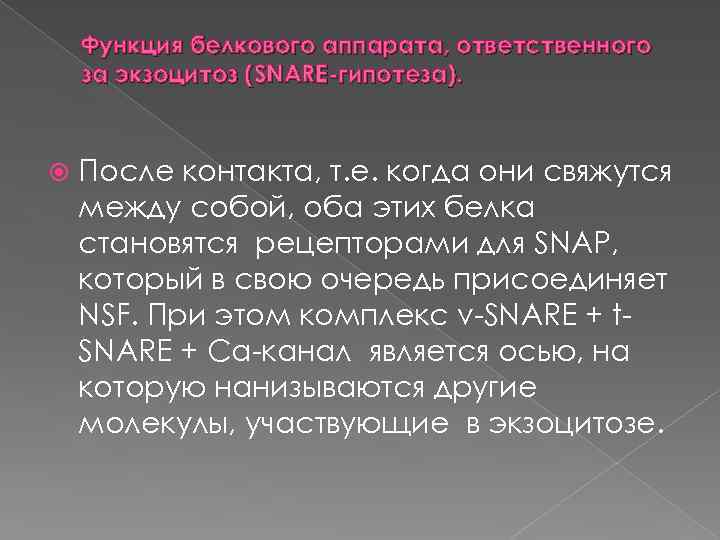 Функция белкового аппарата, ответственного за экзоцитоз (SNARE гипотеза). После контакта, т. е. когда они