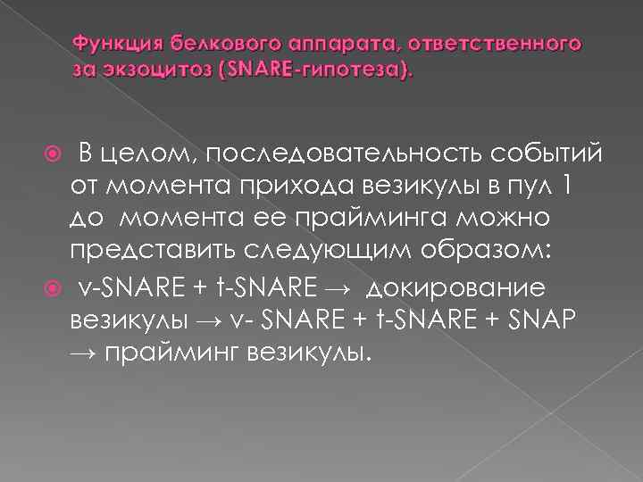 Функция белкового аппарата, ответственного за экзоцитоз (SNARE гипотеза). В целом, последовательность событий от момента