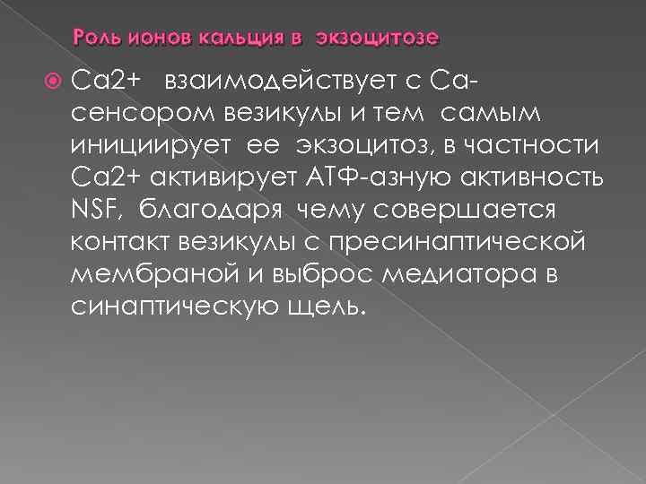 Роль ионов кальция в экзоцитозе Са 2+ взаимодействует с Са сенсором везикулы и тем