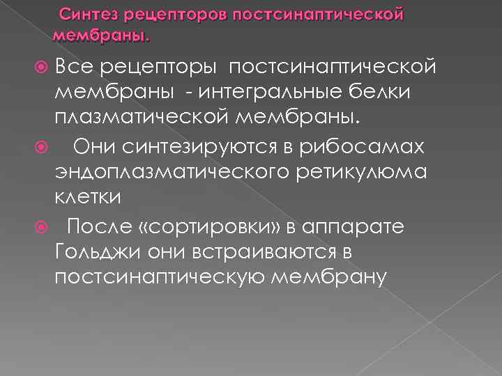 Синтез рецепторов постсинаптической мембраны. Все рецепторы постсинаптической мембраны интегральные белки плазматической мембраны. Они синтезируются