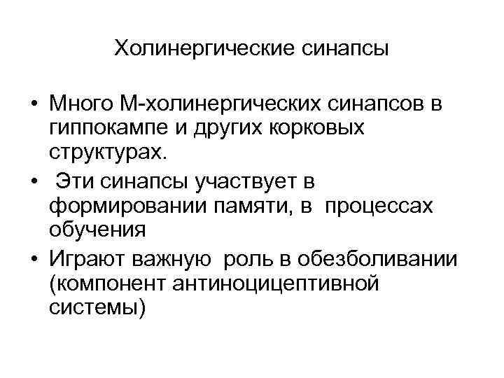 Холинергические синапсы • Много М холинергических синапсов в гиппокампе и других корковых структурах. •