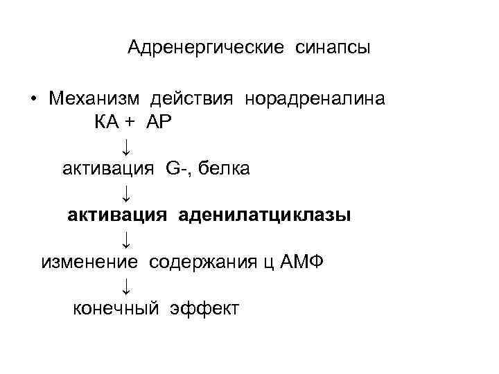 Адренергические синапсы • Механизм действия норадреналина КА + АР ↓ активация G , белка