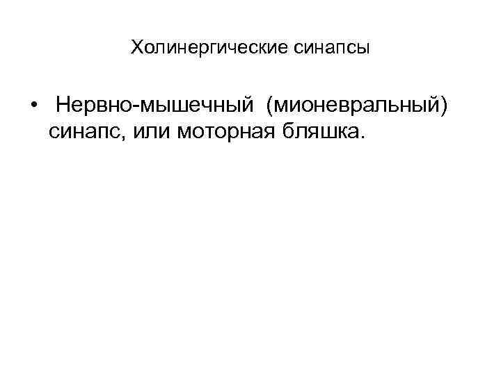 Холинергические синапсы • Нервно мышечный (мионевральный) синапс, или моторная бляшка. 