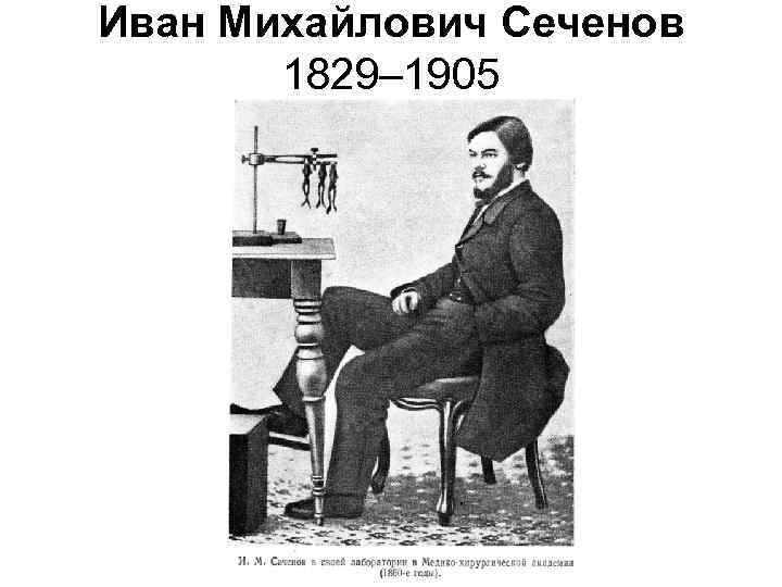 Иван Михайлович Сеченов 1829– 1905 