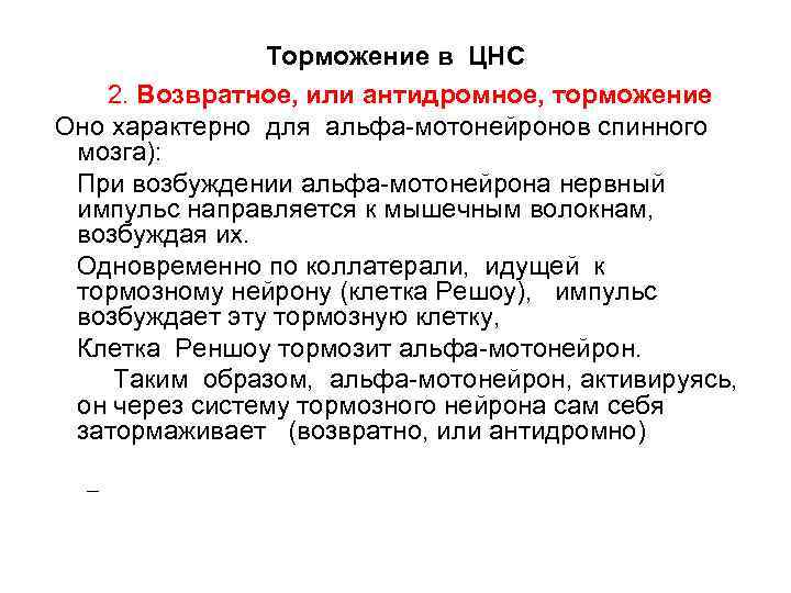 Торможение в ЦНС 2. Возвратное, или антидромное, торможение Оно характерно для альфа мотонейронов спинного