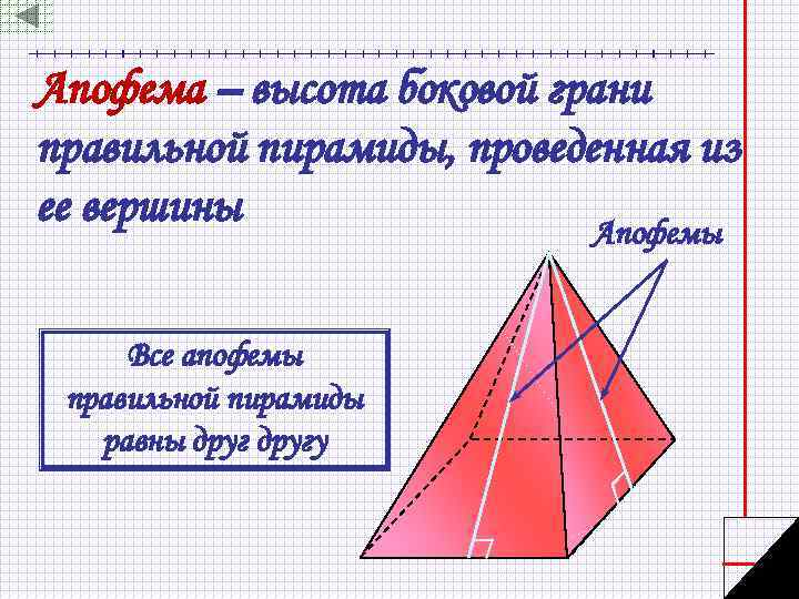 Апофема – высота боковой грани правильной пирамиды, проведенная из ее вершины Апофемы Все апофемы