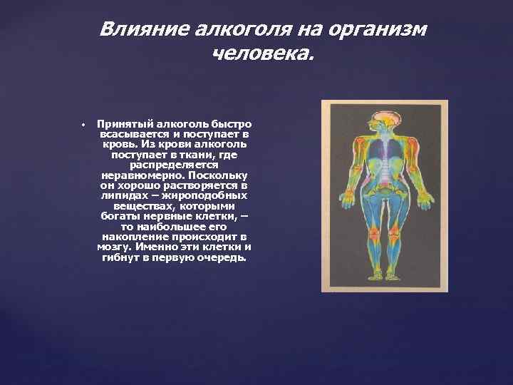 Влияние алкоголя на организм человека. Принятый алкоголь быстро всасывается и поступает в кровь. Из