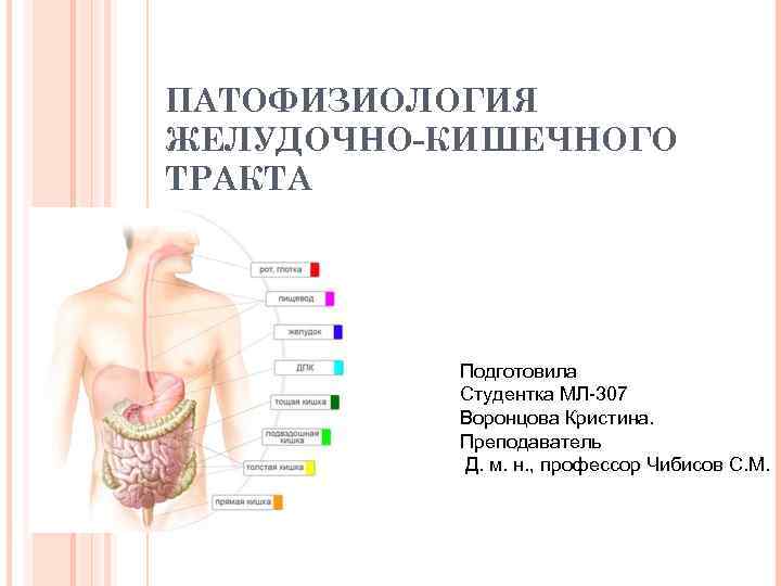 ПАТОФИЗИОЛОГИЯ ЖЕЛУДОЧНО-КИШЕЧНОГО ТРАКТА Подготовила Студентка МЛ-307 Воронцова Кристина. Преподаватель Д. м. н. , профессор