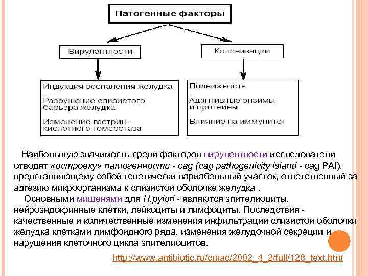  Наибольшую значимость среди факторов вирулентности исследователи отводят «островку» патогенности - cag (cag pathogenicity
