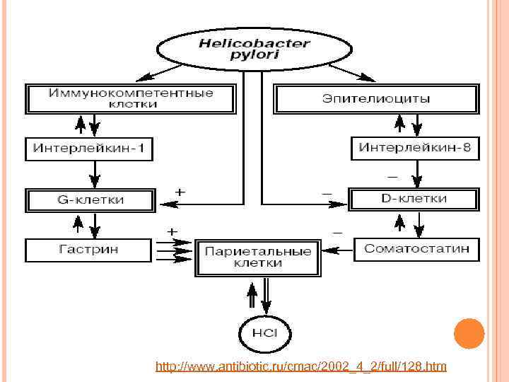http: //www. antibiotic. ru/cmac/2002_4_2/full/128. htm 