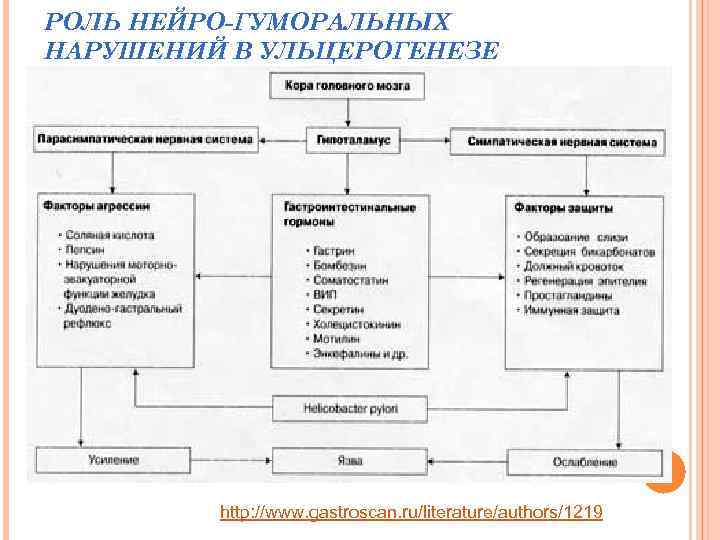 РОЛЬ НЕЙРО-ГУМОРАЛЬНЫХ НАРУШЕНИЙ В УЛЬЦЕРОГЕНЕЗЕ http: //www. gastroscan. ru/literature/authors/1219 