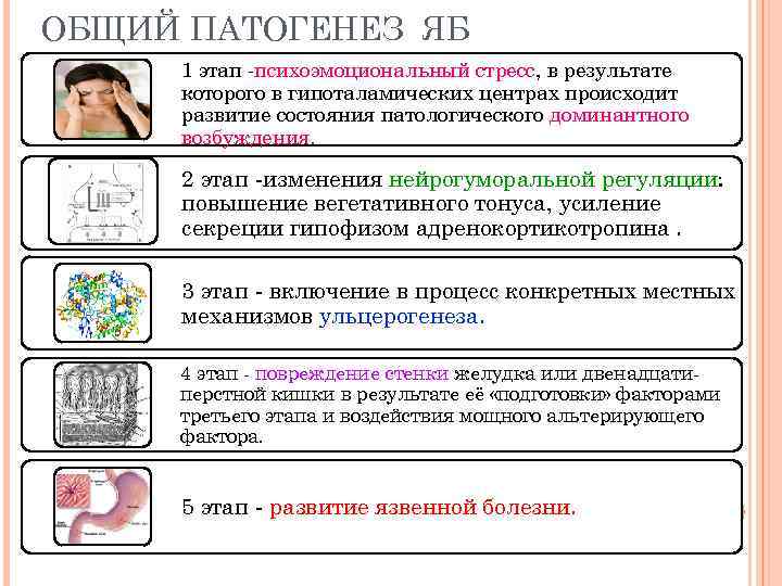 ОБЩИЙ ПАТОГЕНЕЗ ЯБ 1 этап -психоэмоциональный стресс, в результате которого в гипоталамических центрах происходит