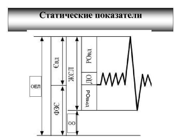 Статические показатели ОЕЛ РОвыд ОО 