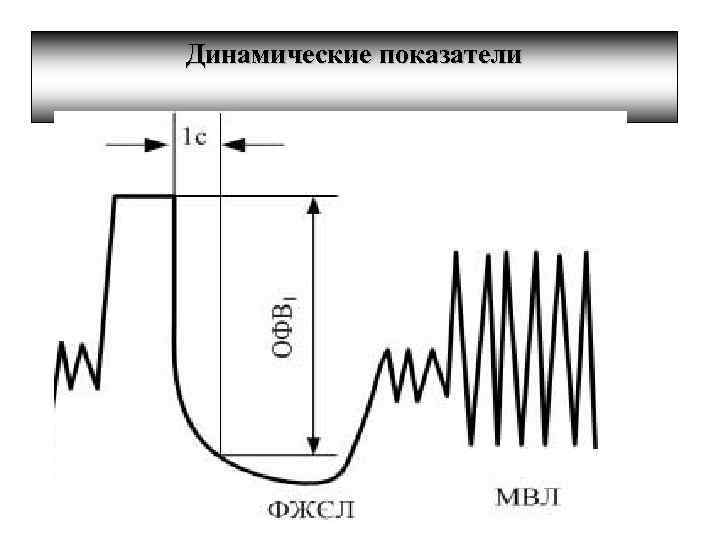 Динамические показатели 