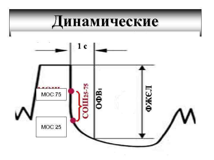 Динамические показатели МОС 75 МОС 25 