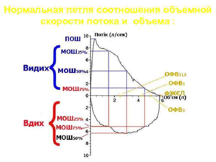 Нормальная петля соотношения объемной скорости потока и объема : 