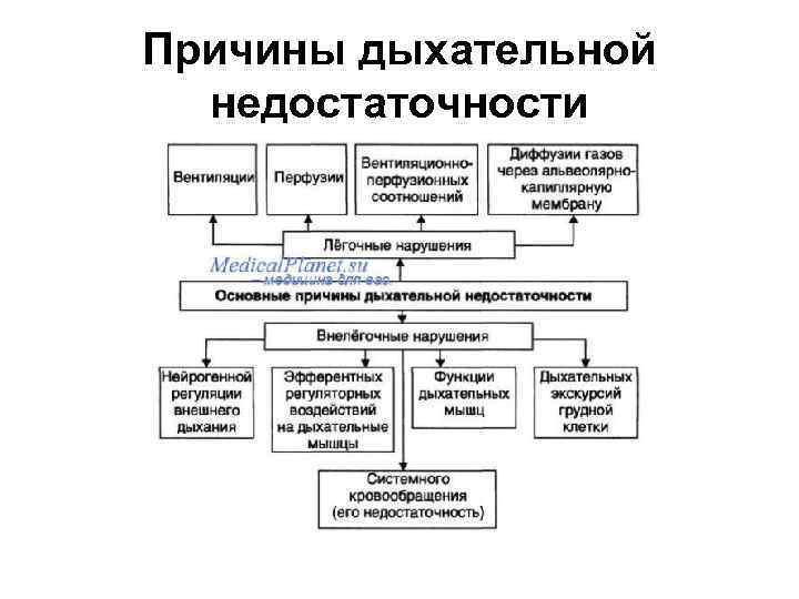 Причины дыхательной недостаточности 