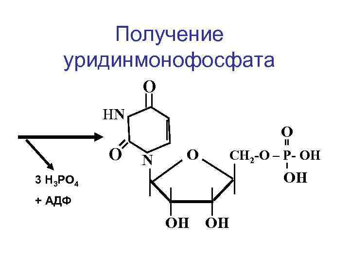 Получение уридинмонофосфата О НN О О N О СН 2 -О – Р- ОН