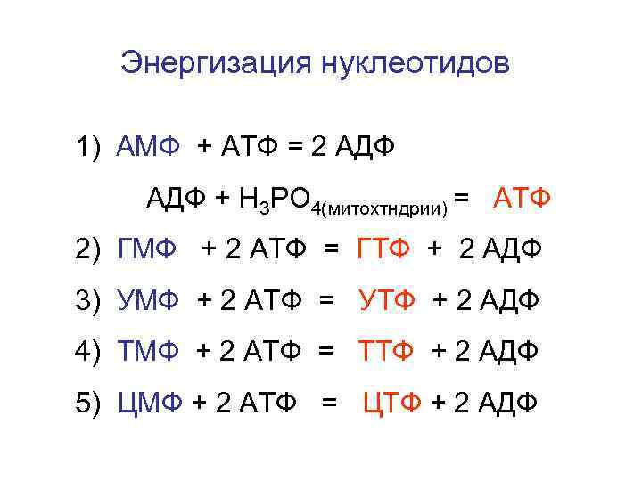 Энергизация нуклеотидов 1) АМФ + АТФ = 2 АДФ + Н 3 РО 4(митохтндрии)