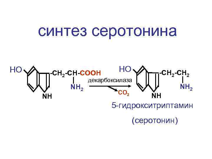 синтез серотонина НО -CH 2 -CH-COOH NH 2 NH НО декарбоксилаза СО 2 -CH