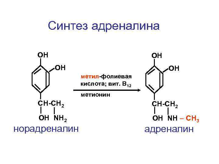 Синтез адреналина ОН ОН метил-фолиевая кислота; вит. В 12 метионин CH-CH 2 ОН NH